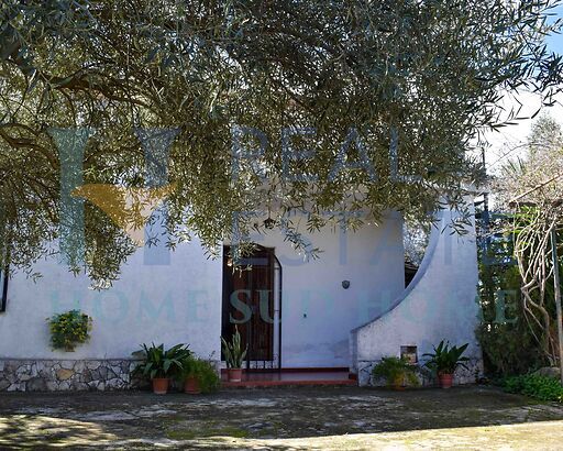 Villa Clementina
