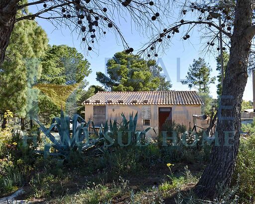 Casina Metamorfosi