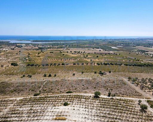 Terre del Grillo