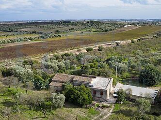 Tenuta Angolo Fiorito