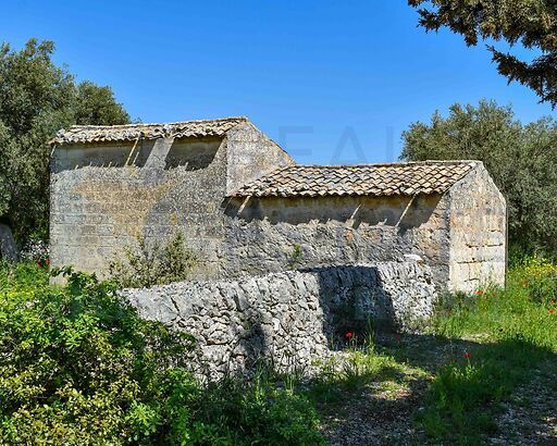 Casalino Felixi