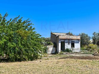 Casina Alloro