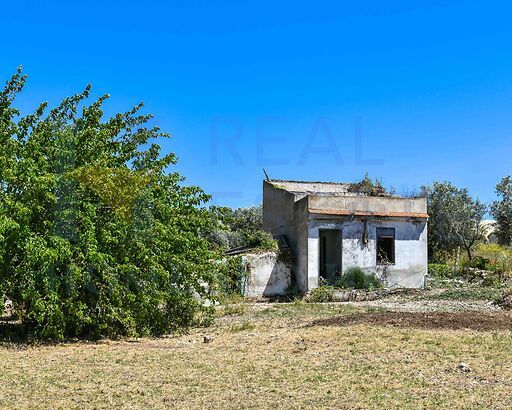 Casina Alloro