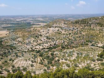 Fondo del Sole