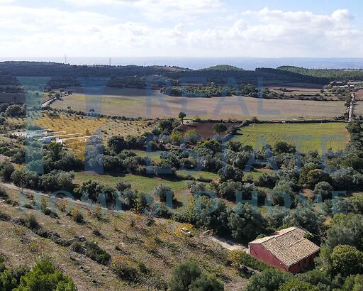 Casina e Terre degli Aromi Siciliani