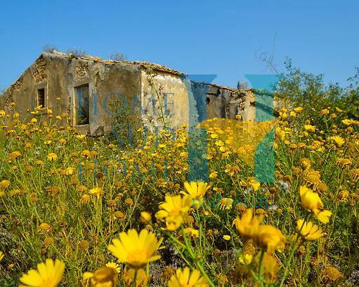 Il Giardino dei Fichi